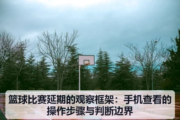 篮球比赛延期的观察框架：手机查看的操作步骤与判断边界